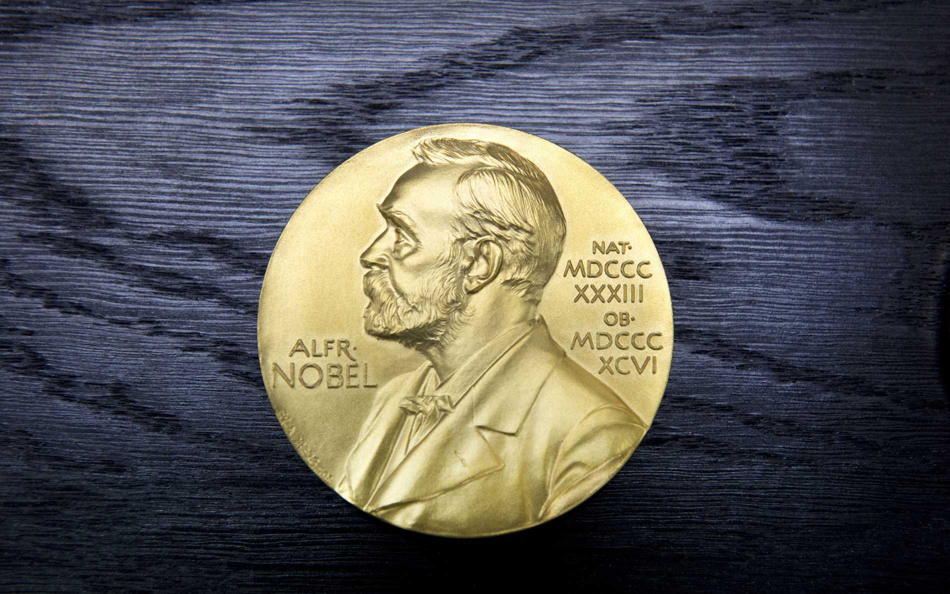 Nobelpriset i kemi 2019 – De skapade en laddningsbar värld