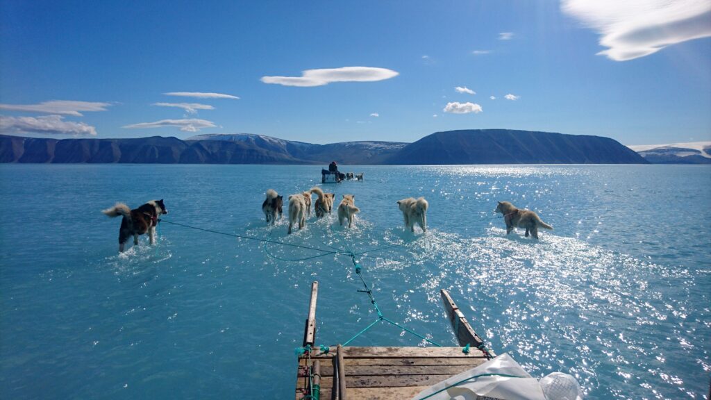 Arktis inför möjligt katastrofår – isar smälter tidigare
