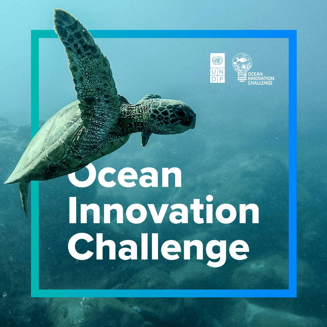 UNDP lanserar ’Ocean Innovation Challenge’
