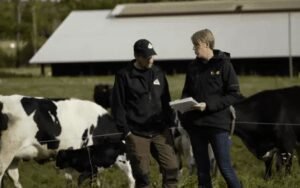 Greppa Näringens ”Klimatkollen” är nominerad till Rural Inspiration Awards 2020 2