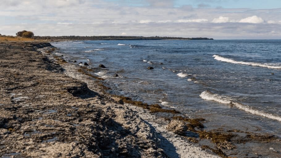 Föreslår åtgärder för en bättre havsmiljö 2 Föreslår åtgärder för en bättre havsmiljö 2