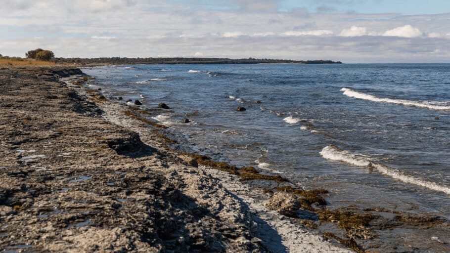 Föreslår åtgärder för en bättre havsmiljö 1