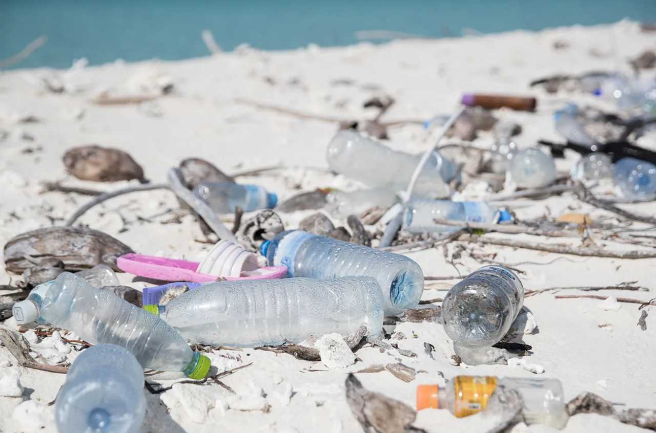 Experter till EU: Undvik biologiskt nedbrytbar plast i naturen, utom i specialfall