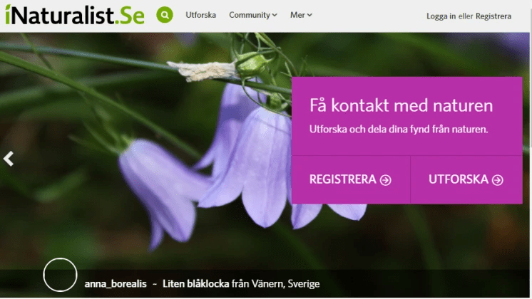 Sverige blir en del av iNaturalist-nätverket