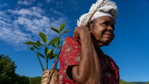 Fyra gånger mer pengar spenderas varje år på att förvärra klimatkrisen än vad som utlovats för att hjälpa de fattigaste att hantera den, enligt ny UNDP-rapport