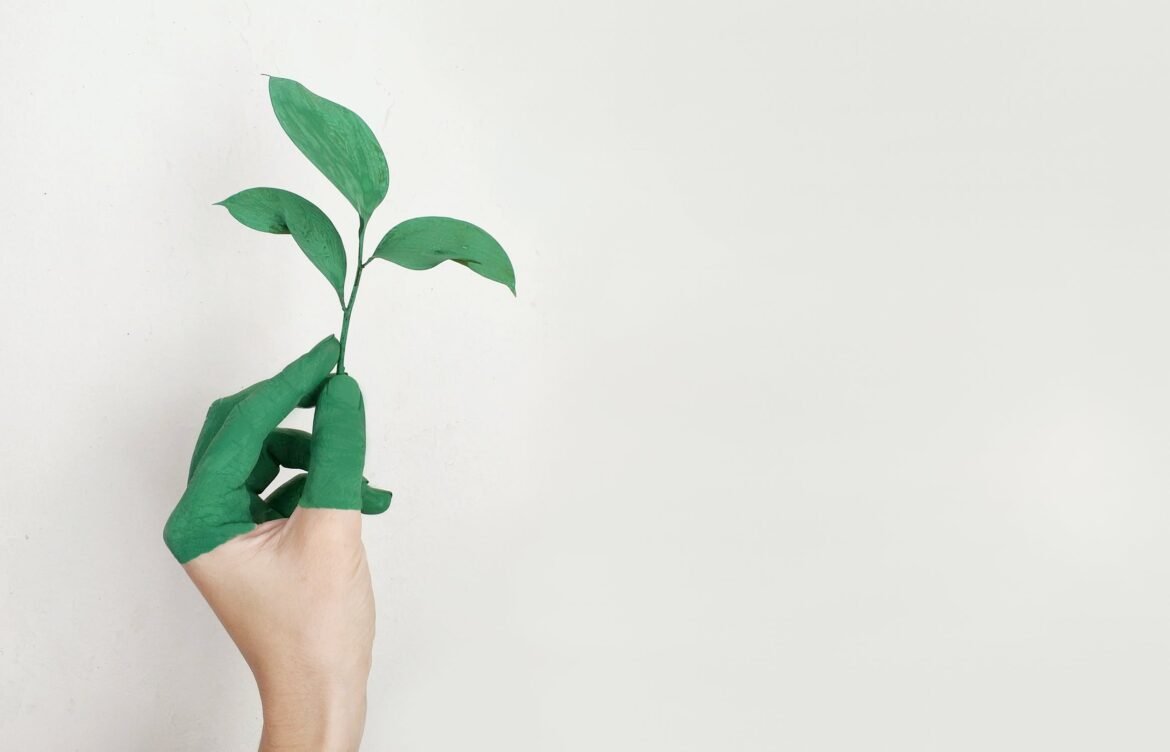 Lexmark planerar bli koldioxidneutral till 2035
