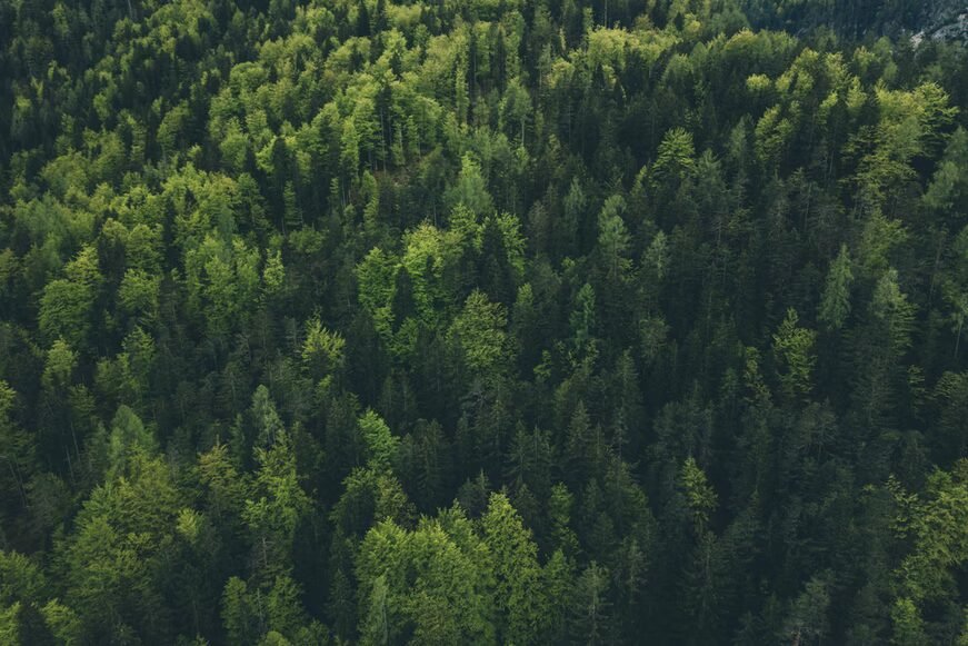 Schneider Electric fokuserar på brådskande klimatåtgärder och att uppfylla åtaganden för 2021 under tredje kvartalet