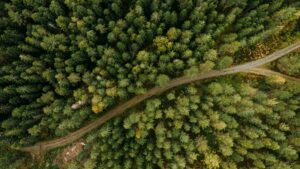 Förslag i EU-parlamentet hotar skogsindustri och energiförsörjning