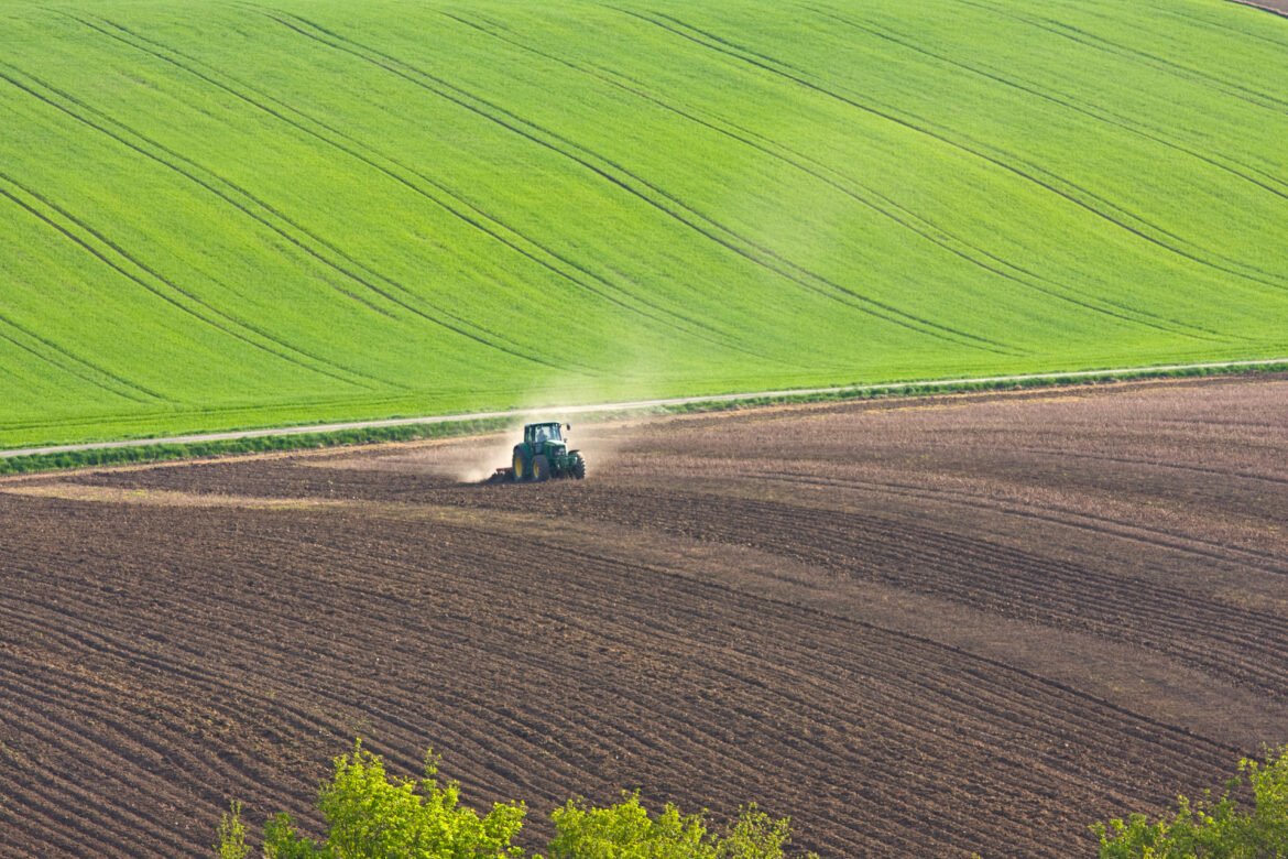 Almi Invest GreenTech investerar i NitroCapts fossilfria konstgödsel