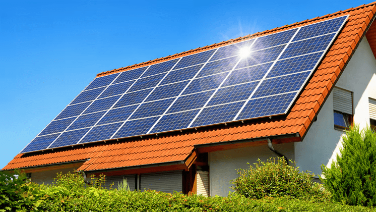 vidnesbyrd Rafflesia Arnoldi sammen Rengör dina solpaneler för bästa effekt och elproduktion | IT-Hållbarhet