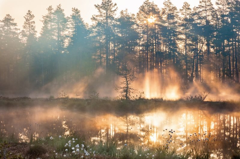 Färskvatten är avgörande för att lyckas med klimatåtgärder