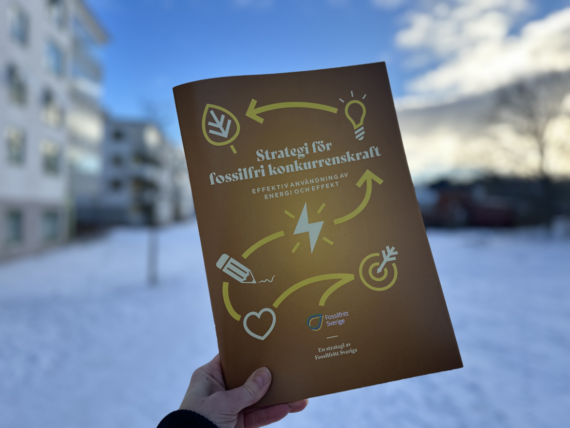 Energieffektivisering kan ge kraftigt sänkta elpriser i södra Sverige