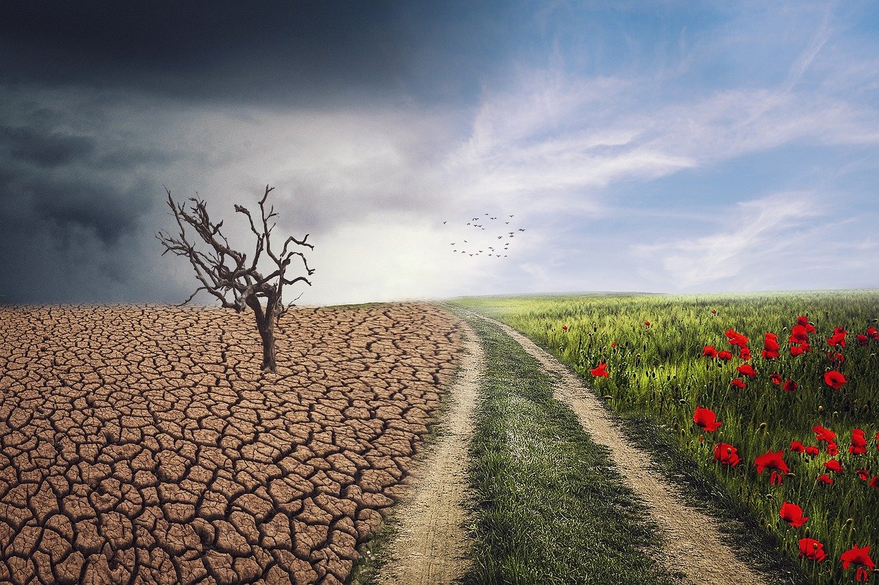 Footprint Level visualiserar ditt klimatarbete – lanserar CO2-mätare