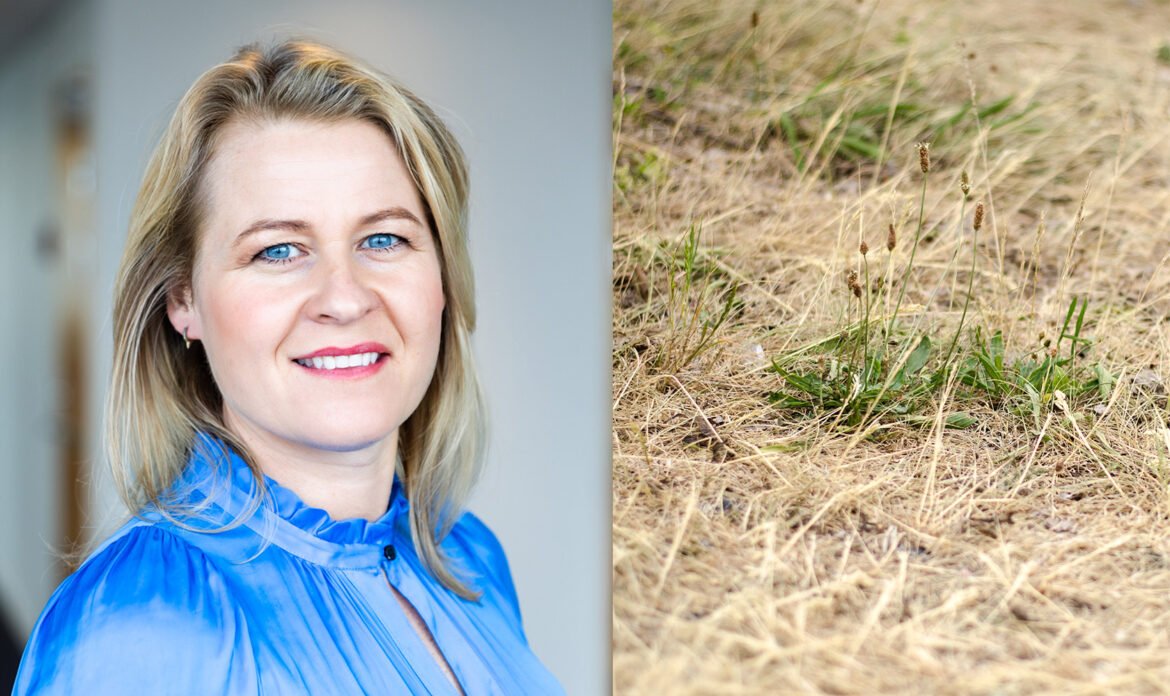 Sweco om vattenbristen: kommunerna måste agera tidigt