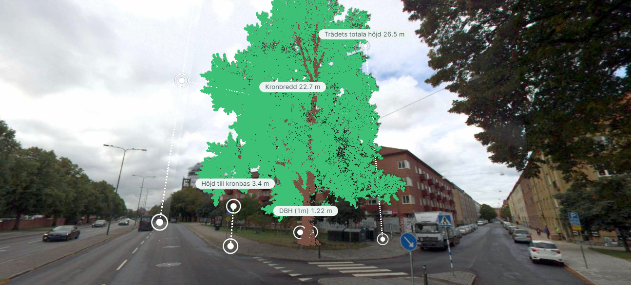 Nu skannas 35 000 träd i Malmö