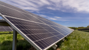 Ny solkraftpark planeras i Kristianstad