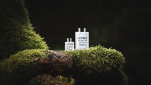 Ligna Energy släpper bio-baserad superkondensator