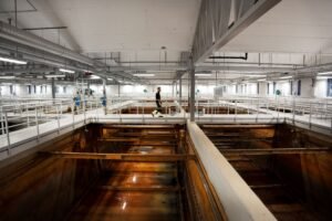 Svenskt Vatten välkomnar EU:s nya avloppsdirektiv