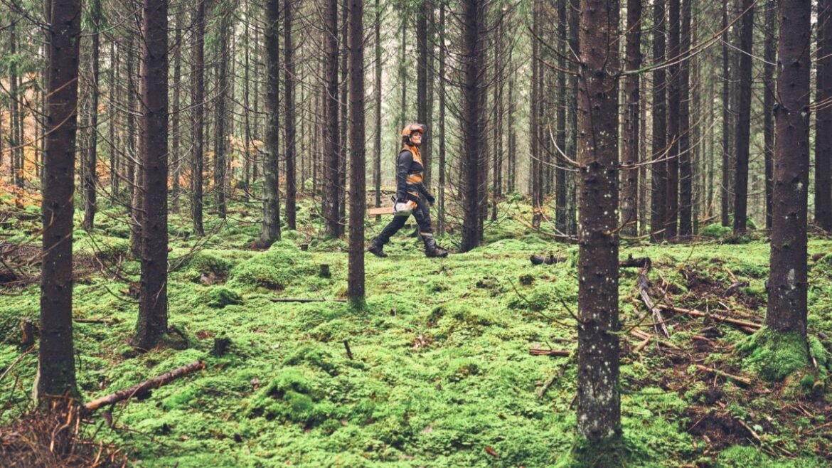 Batteridrift och e-bränsle: STIHL ställer om arbetsmaskiner