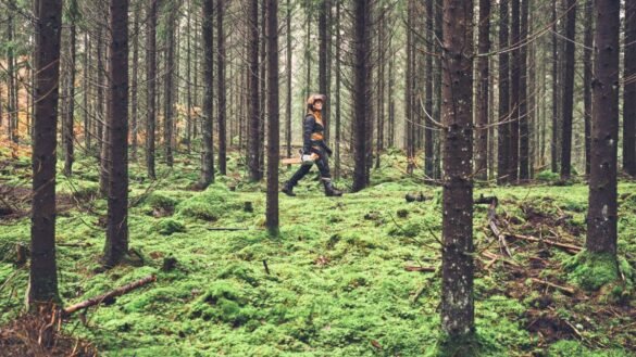 Batteridrift och e-bränsle: STIHL ställer om arbetsmaskiner