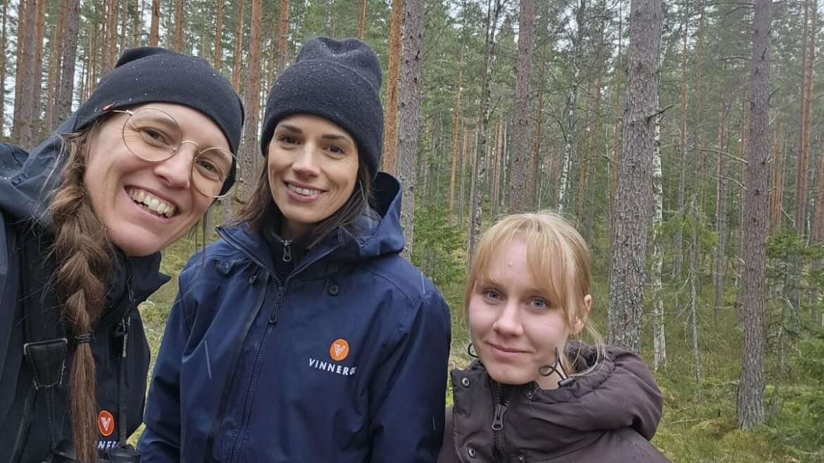 Storskalig solcellspark och biologisk mångfald –