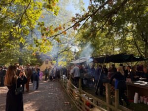 Kungliga Djurgården i topp – återigen prisad internationellt för hållbarhetsarbete