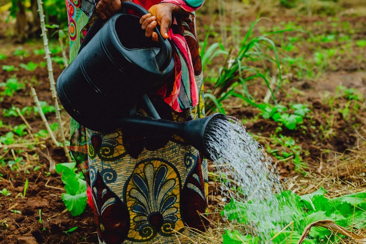 The Hunger Project officiell observatör på klimatmötet COP29