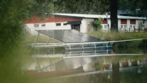 Sunsurf Solar blir årets startup - prisas för flytande solcellspark