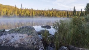 Ny rapport: Var tredje storbolag ökar sina utsläpp av växthusgaser