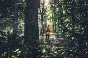 Ny undersökning visar: Hybridanvändning av energikällor dominerar i nordisk skogs- och grönytebransch STIHL: Hybridanvändning av energikällor dominerar i nordisk skogs- och grönytebransch