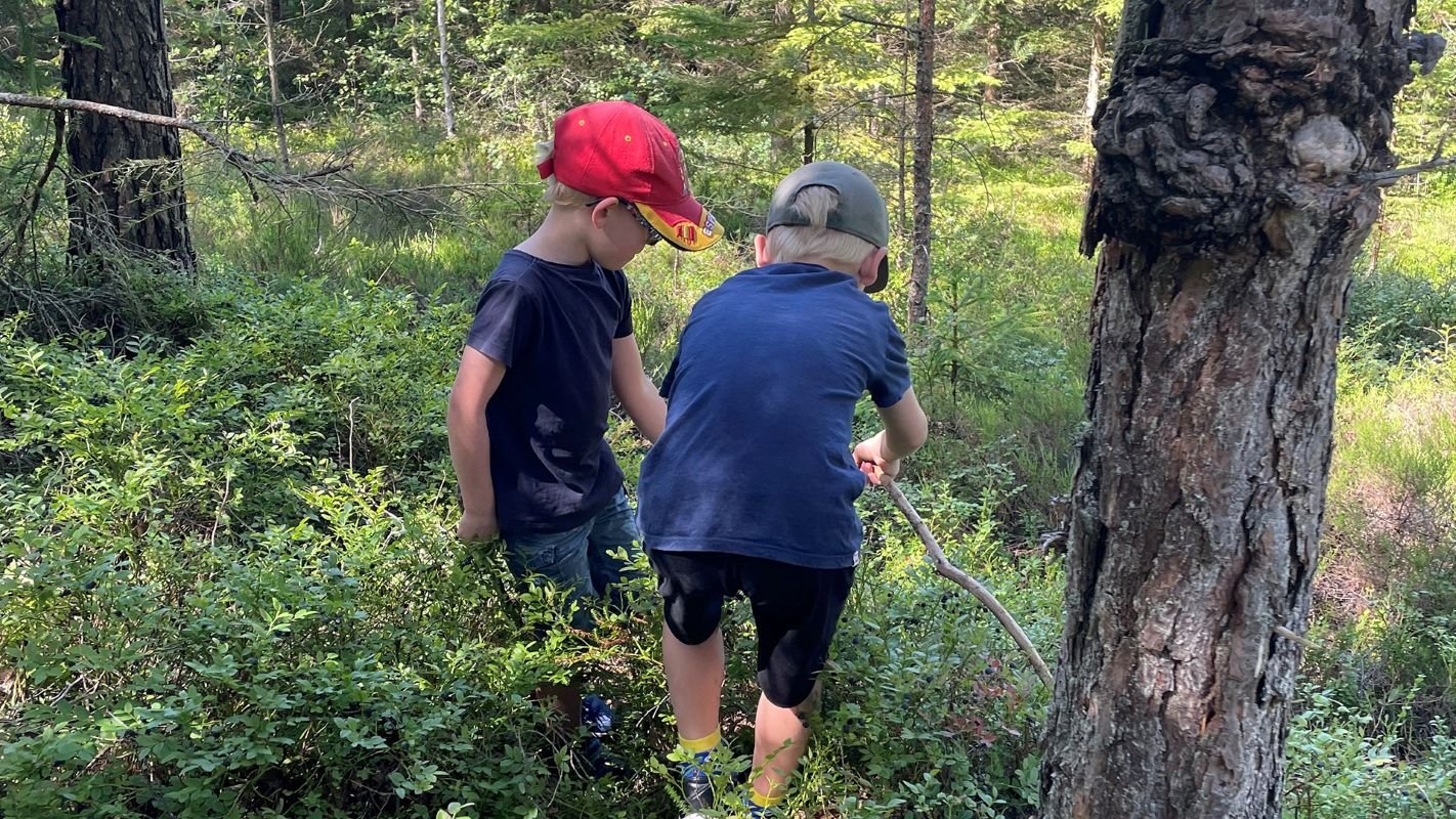 Seminarium: Att mäta biologisk mångfald – varför, hur och vad betyder de nya teknikerna?