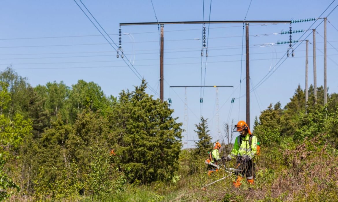 Svenska kraftnät effektiviserar elnätsutbyggnad och markhantering med digitalt verktyg