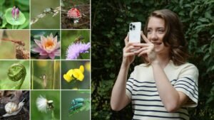 Från mobil till ekosystem: Så stärker cirkulär IT den biologiska mångfalden och ert varumärke