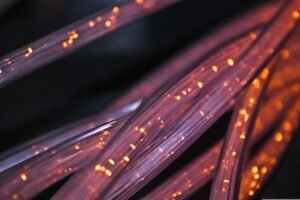 AC-Net investerar i nytt WDM-nät för framtidens digitala infrastruktur – öppnar för fler stadsnät att modernisera sina nät